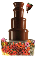 Atlanta Chocolate Company Sephra Chocolate Fondue Fountains GA Rentals & Sales Custom Chocolate Candy Georgia Wedding Receptions Parties Events Birthdays Corporate Sweet Sixteen